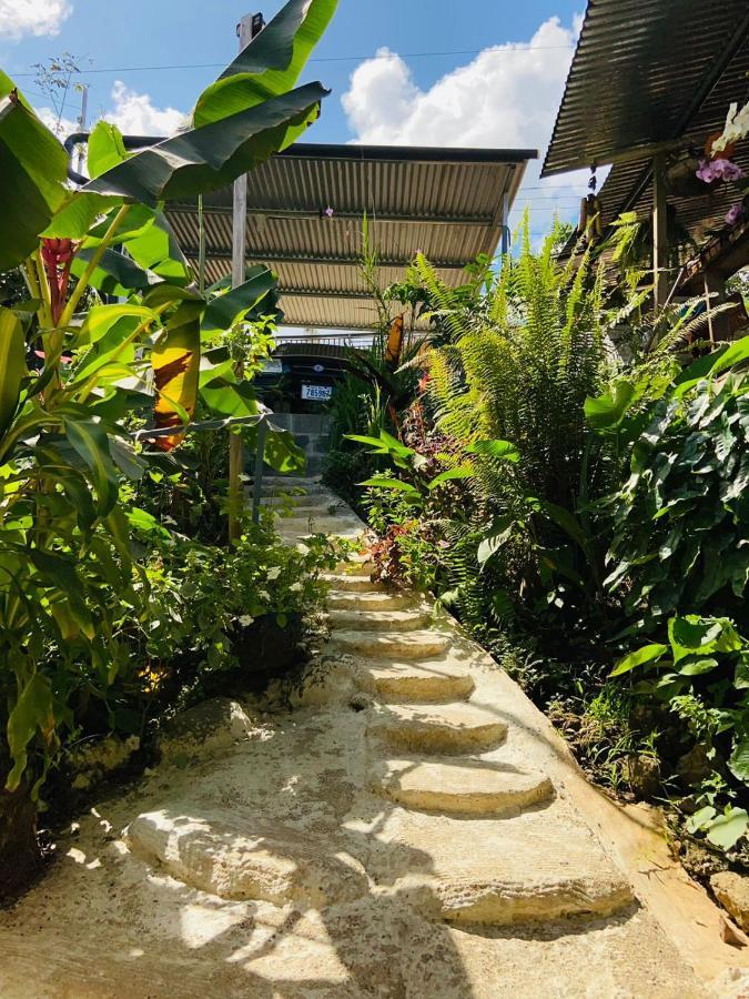 Casita Tangara Con Balcon Y Agua Caliente Apartment Drake Bay Exterior photo