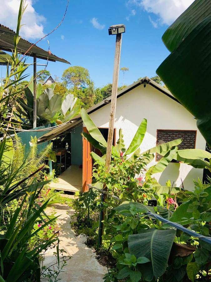 Casita Tangara Con Balcon Y Agua Caliente Apartment Drake Bay Exterior photo